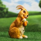 Садовая фигура "Заяц с морковкой" рыжий 26х16х12см - фото 3549094