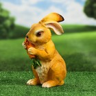 Садовая фигура "Заяц с морковкой" рыжий 26х16х12см - фото 9578388