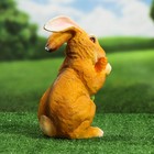 Садовая фигура "Заяц с морковкой" рыжий 26х16х12см - фото 9578389