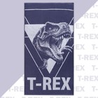 Полотенце махровое «Этель» T-REX, 70×130 см, хлопок 100%, синее - Фото 5