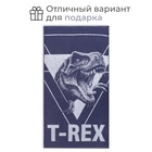 Полотенце махровое «Этель» T-REX, 70×130 см, хлопок 100%, синее - Фото 4