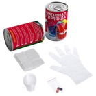 Набор для опытов «Шагающая гирлянда» 7511478