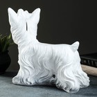 Копилка "Йоркширский терьер" белый 22х28см - фото 21443218 Копилка "Йоркширский терьер" белый 22х28см - фото 21443218