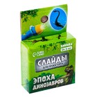 Слайды для проектора «Эпоха динозавров», набор, 3 слайда, 24 картинки - Фото 3