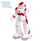 Робот «Робо-друг», с дистанционным и сенсорным управлением, русский чип, цвет красный - фото 319884418