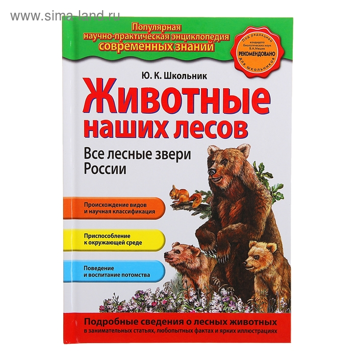 Животные наших лесов. Все лесные звери России - Фото 1