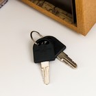 Сейф-книга дерево кожзам "Научная Одиссея. Исследования Марса" 17х11х5 см - фото 23228753