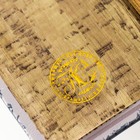 Сейф-книга дерево кожзам "Научная Одиссея. Исследования Марса" 17х11х5 см - фото 23228755