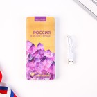 Зарядное устройство "Россия в моем сердце", 8000мА,модель PB-16, 14,5 х 6,9 см - фото 51454321