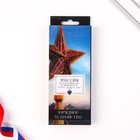 Зарядное устройство "Россия", 8000мА,модель PB-19, 14,5 х 6,9 см - фото 51454333