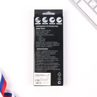 Зарядное устройство "Россия", 8000мА,модель PB-19, 14,5 х 6,9 см - фото 51454334