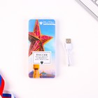 Зарядное устройство "Россия", 8000мА,модель PB-19, 14,5 х 6,9 см - фото 51454335