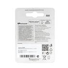 Аккумулятор GP, Ni-Mh, AAA, HR03-2BL, 1.2В, 1000 мАч, блистер, 2 шт. - Фото 4