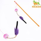 Дразнилка-удочка с шар-погремушкой и хвостиком, 49 см, микс цветов - фото 2107019