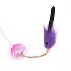 Дразнилка-удочка с шар-погремушкой и хвостиком, 49 см, микс цветов - Фото 3