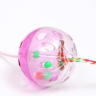 Дразнилка-удочка с шар-погремушкой и хвостиком, 49 см, микс цветов - фото 6518971