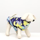 Куртка для собак "Цветной бум", размер XS (ДС 20, ОГ 32, ОШ 21 см) - фото 9510484