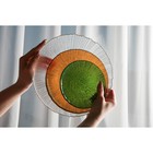 Тарелка стеклянная подстановочная «Фейверк», d=27 см, цвет прозрачный - Фото 5