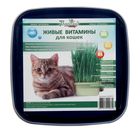 Живые ВИТАМИНЫ для кошек "Овес", пласт.лоток, - Фото 2
