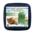Живые ВИТАМИНЫ для кошек "Пшеница", пласт.лоток, - Фото 2