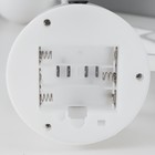 Ночник "Кошечка" LED (розовый свет) от батареек 3хААА USB 15x10x25 см RISALUX - фото 21445731