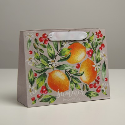 Пакет подарочный крафтовый, упаковка, «Лето», 22 х 17.5 х 8 см