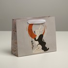 Пакет подарочный крафтовый, упаковка, «Гармония», 22 х 17,5 х 8 см - Фото 1