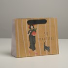 Пакет подарочный крафтовый, упаковка, «Cat», 22 х 17,5 х 8 см - фото 318737683