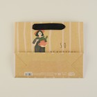 Пакет подарочный крафтовый, упаковка, «Cat», 22 х 17,5 х 8 см - фото 21445904