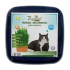 Живые ВИТАМИНЫ для кошек "Рожь", пласт.лоток, 162948 - Фото 2