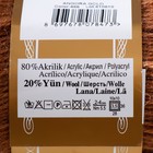 Пряжа "Angora Gold" 20%  шерсть, 80% акрил 550м/100гр (466) - фото 9467833