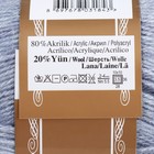 Пряжа "Angora Gold" 20%  шерсть, 80% акрил 550м/100гр (221) - фото 8602820