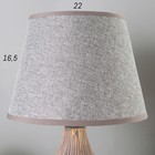 Настольная лампа 16505/1 E14 40Вт серый 22х22х38 см RISALUX - фото 41938530