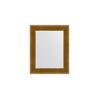 Зеркало в багетной раме, травленое золото 59 мм, 40х50 см - фото 300765056