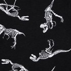 Пижама детская для мальчика KAFTAN "Динозавры" рост 110-116 (32) - Фото 6