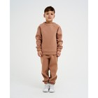 Костюм детский с начёсом (джемпер, брюки) KAFTAN "Basic line" р.30 (98-104), кофе 7425146 - фото 14601689