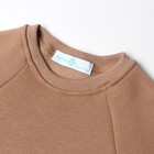 Костюм детский с начёсом (джемпер, брюки) KAFTAN "Basic line" р.30 (98-104), кофе 7425146 - фото 14601700