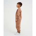 Костюм детский с начёсом (джемпер, брюки) KAFTAN "Basic line" р.30 (98-104), кофе 7425146 - фото 14601690