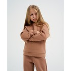 Костюм детский с начёсом (джемпер, брюки) KAFTAN "Basic line" р.30 (98-104), кофе 7425146 - фото 14601697
