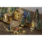 УЦЕНКА Фигура световая под куполом «Дед мороз», 6×6×9.5 см, от батареек LR1130, свечение тёплое белое - Фото 6