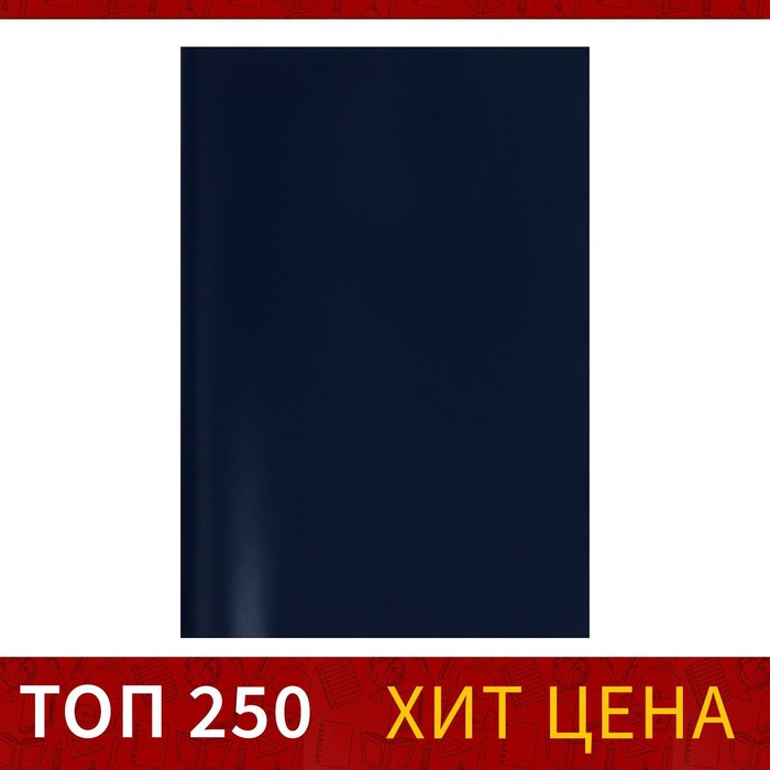 Тетрадь А4, 48 листов в клетку Calligrata, бумвинил, блок №2, эконом, синий - Фото 1
