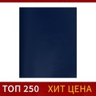 Тетрадь 96 листов в клетку Calligrata, бумвинил, блок №2, эконом, синий - фото 24802546