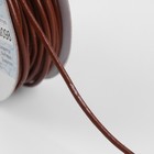 Шнур для плетения, натуральная кожа, d = 2 мм, 10 ± 0,5 м, цвет светло-коричневый - Фото 2