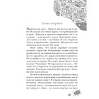 Вспышка. Бродвей Э. - Фото 4