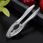 Орехокол Доляна, 17 см, металл - Фото 1