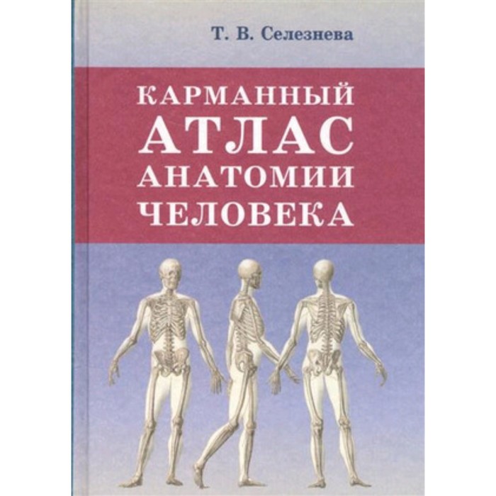 

Карманный атлас анатомии человека. Селезнева Т.В.