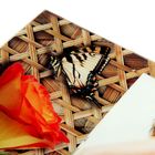 Фоторамка "Роза с бабочкой на плетенке" 10х15 см - Фото 3