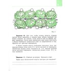 Технология. 8 класс. Сельскохозяйственный труд. Рабочая тетрадь (для обучающихся интеллектуальными нарушениями). 3-е издание. ФГОС ОВЗ. Ковалева Е.А. 7631993 - фото 14021178