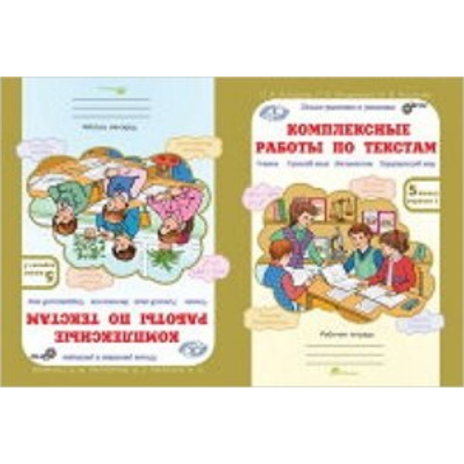 Комплексные работы по текстам. 5 класс. Рабочая тетрадь. Варианты 1 и 2.  ФГОС. Холодова О.А., Мищенкова Л.В., Носикова М.В.