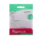 Выключатель SE Blanca, 10 А, 2 клавиши, IP20, скрытый, белый, BLNVS010501 - фото 8503031